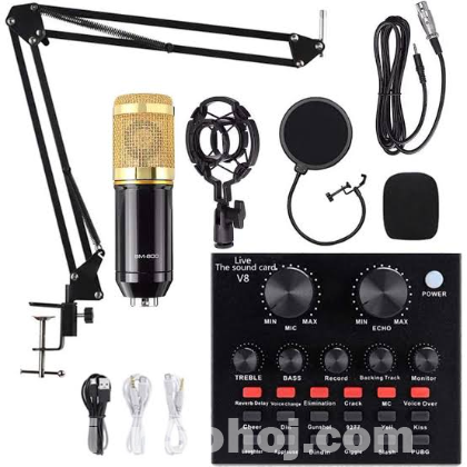 Bm800 microphone with v8 sound card